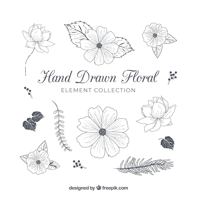 Hand drawn floral elements collection