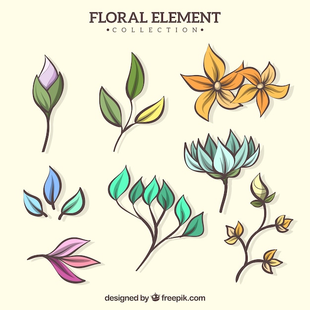 Free vector hand drawn floral elements collection