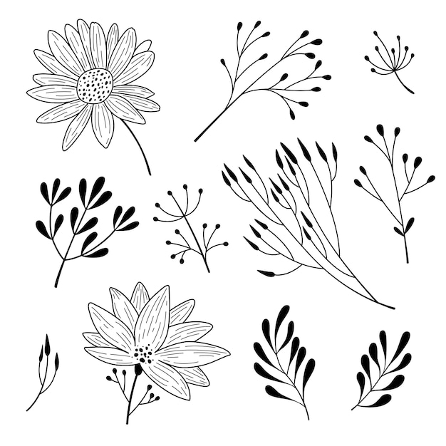 無料ベクター 手描きの花の要素コレクション