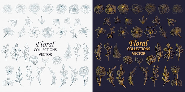 Hand drawn floral elements collections