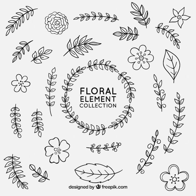 Hand drawn floral elements with sketchy style