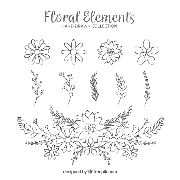 Hand drawn floral elements with sketchy style