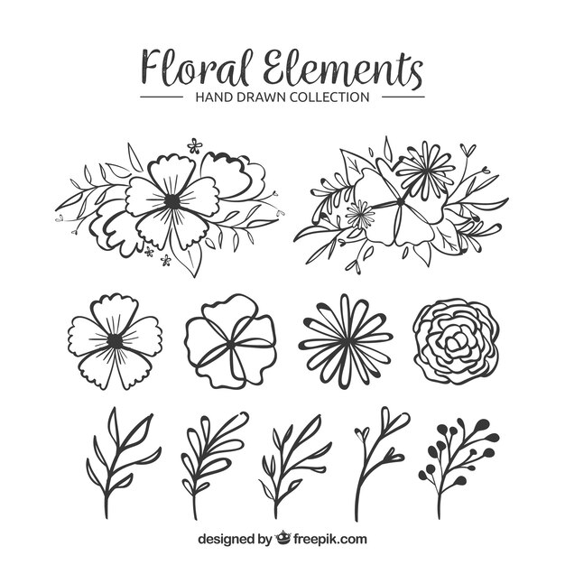 Hand drawn floral elements with sketchy style