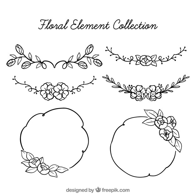 Hand drawn floral elements with sketchy style