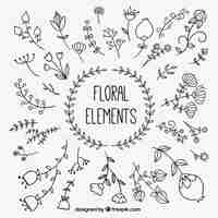 Free vector hand drawn floral elements