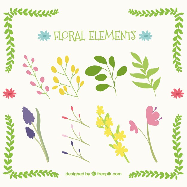 Hand drawn floral elements