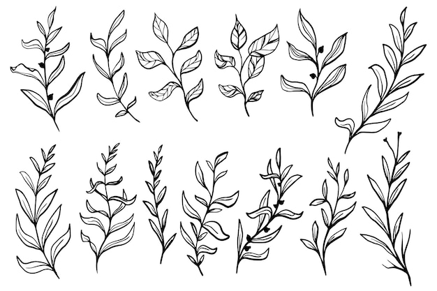 手描きの花の葉の装飾的な落書きコレクション