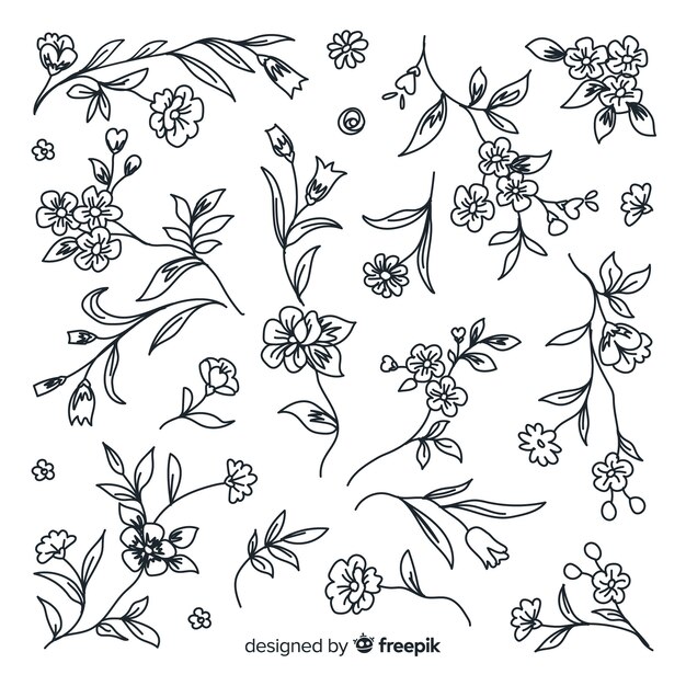 Hand drawn floral ornament collection