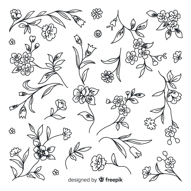 Hand drawn floral ornament collection