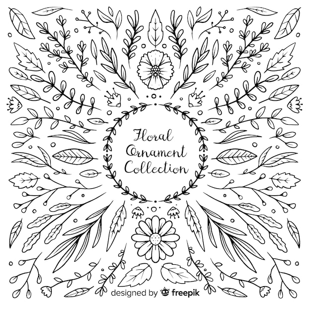 Hand drawn floral ornament collection