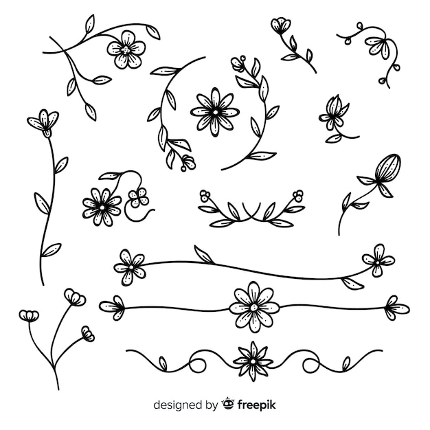 Hand drawn floral ornament collection