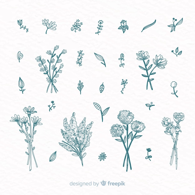 Free vector hand drawn floral ornament collection