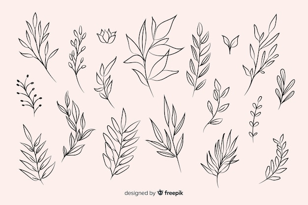 Free vector hand drawn floral ornament collection