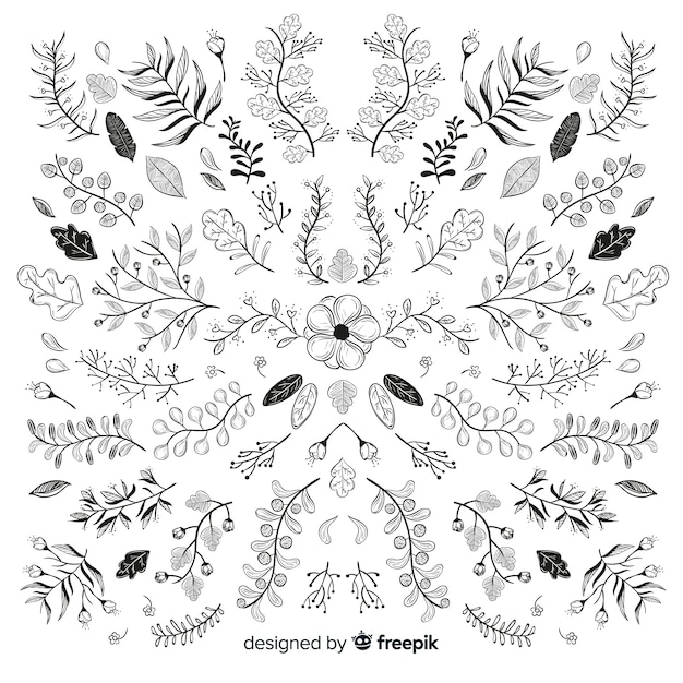 Hand drawn floral ornament collection