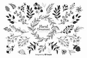 Vettore gratuito set di ornamenti floreali disegnati a mano