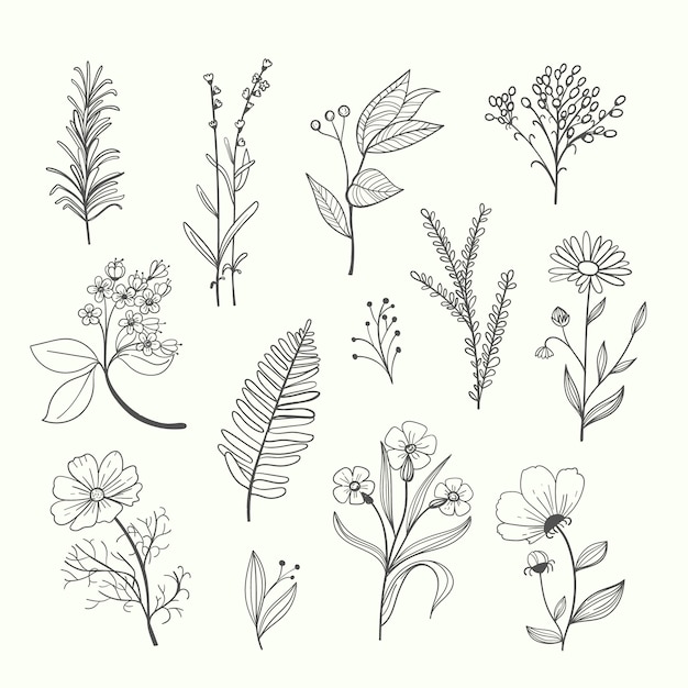 Free vector hand drawn floral ornament set