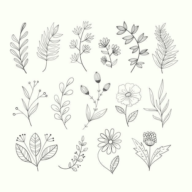 Free vector hand drawn floral ornament set