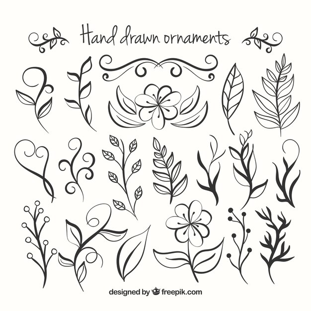 Hand Drawn Floral Ornaments Collection