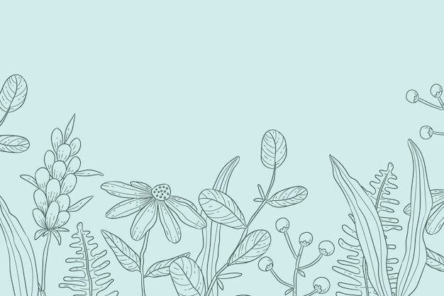 Free vector hand drawn floral outline background