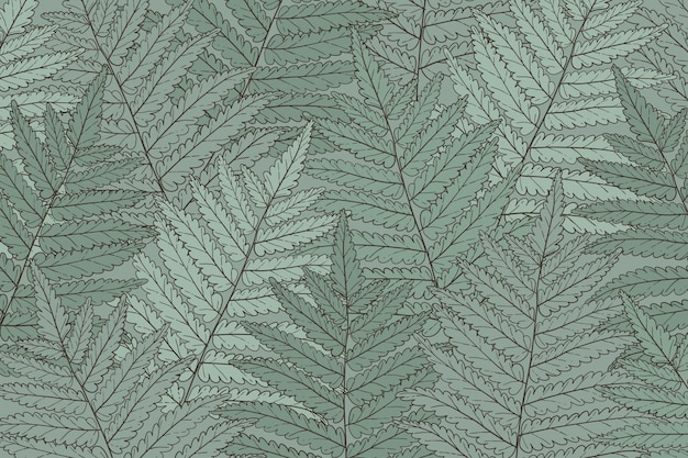 手描きの花の輪郭の背景