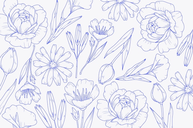 Free vector hand drawn floral outline background