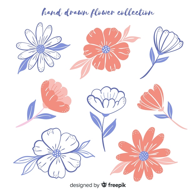 Hand drawn floral sketches collection