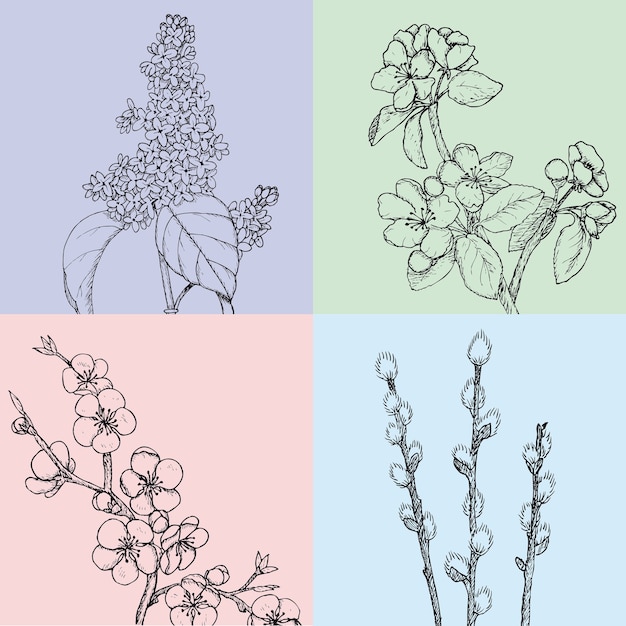 식물 자연 개화 사과 체리 버드 나무와 라일락 가지와 손으로 그린 꽃 봄 삽화