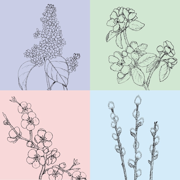 植物の自然に咲くリンゴの桜の柳とライラックの枝と手描きの花の春のイラスト