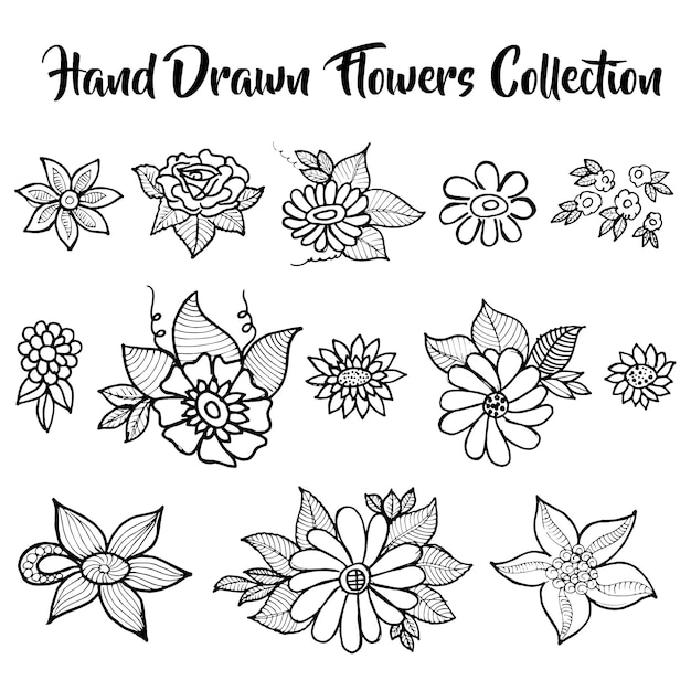 Hand drawn flower collection