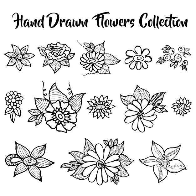  hand drawn flower collection