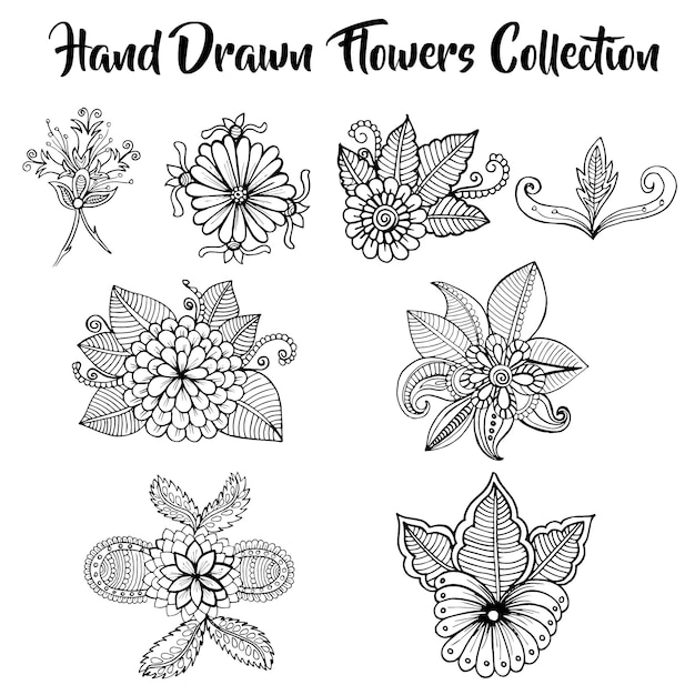  hand drawn flower collection