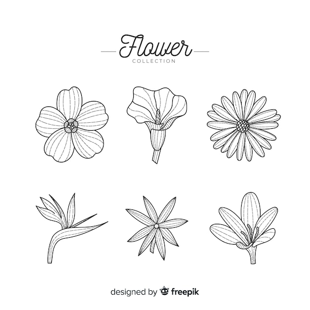 Vettore gratuito collezione di fiori disegnati a mano