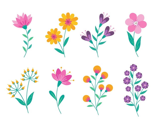 Vettore gratuito collezione di fiori disegnati a mano