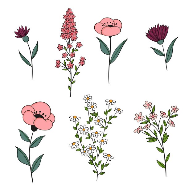 Hand drawn flower collection