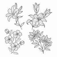 Free vector hand drawn flower collection