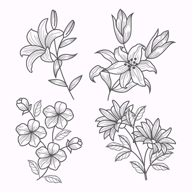 Hand drawn flower collection