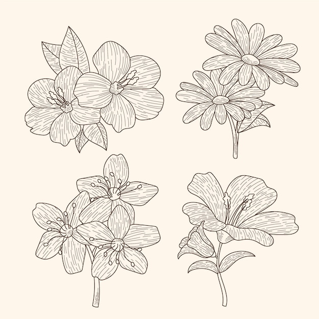 Free vector hand drawn flower collection