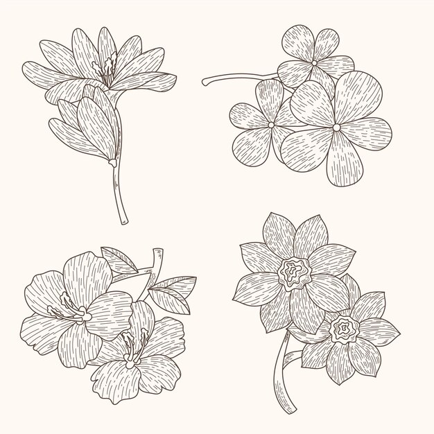 Hand drawn flower collection