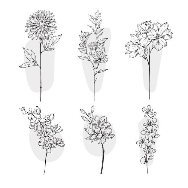 Free vector hand drawn flower collection