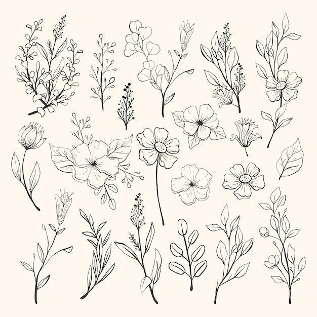 Free vector hand drawn flower collection