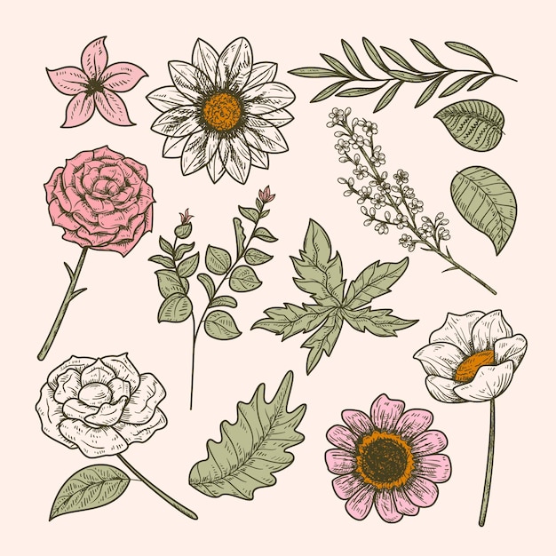 Free vector hand drawn flower collection