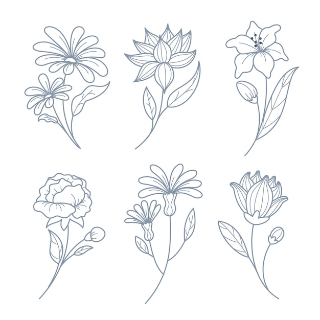 Free vector hand drawn flower collection