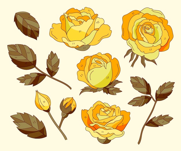 Free vector hand drawn flower collection