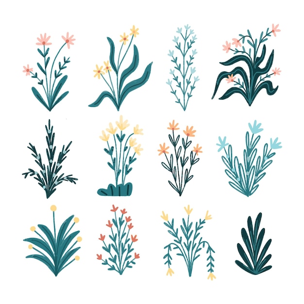 hand drawn flower collection