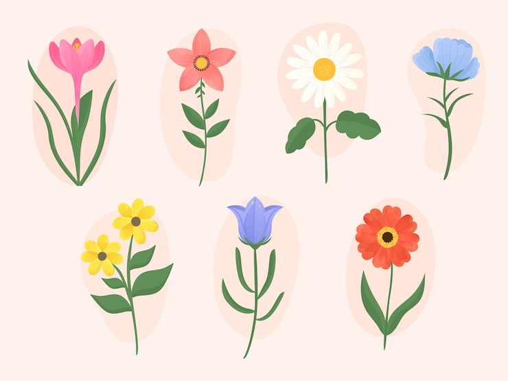 Free Vector hand drawn flower collection