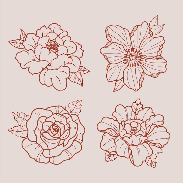 Free vector hand drawn flower collection