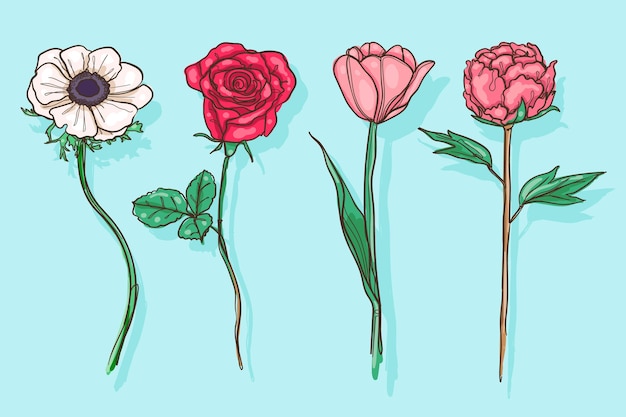 Vettore gratuito collezione di fiori disegnati a mano