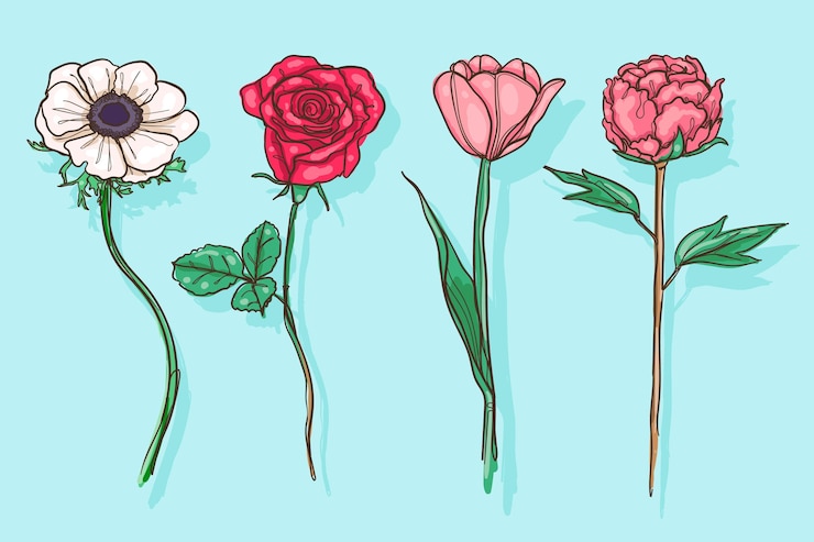 無料Vector 手描きの花コレクション