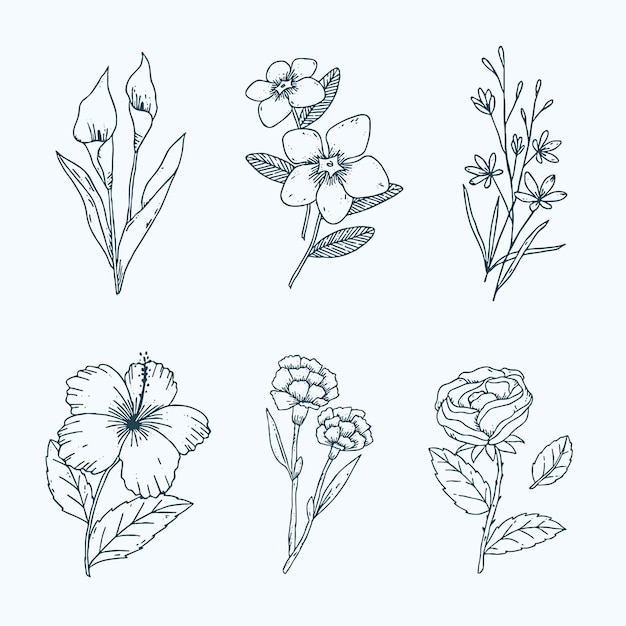 Free Vector hand drawn flower collection