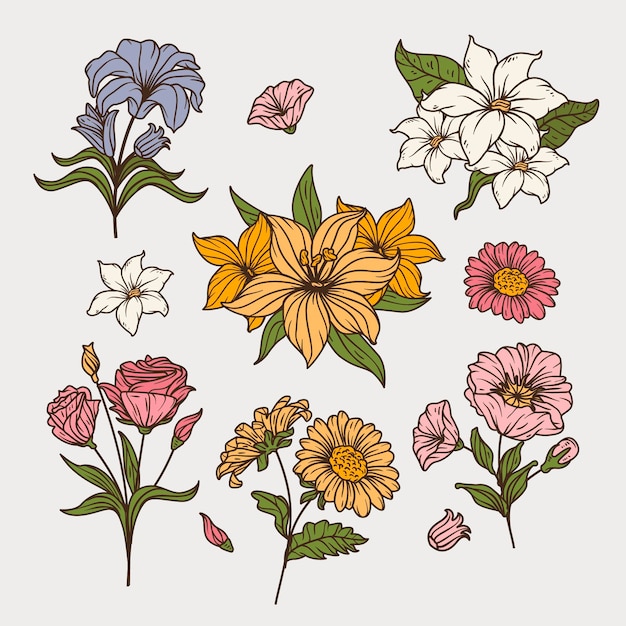 Collezione di fiori disegnati a mano